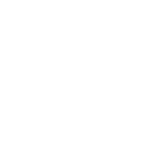 Expert Injector - 2019